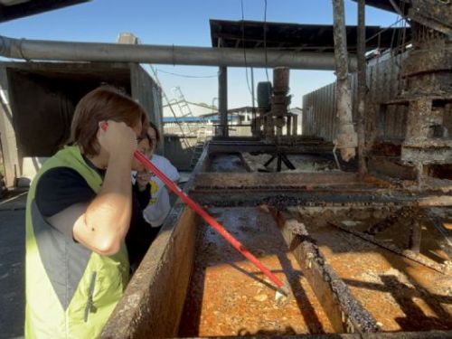 屏東長治再查獲廚餘餵豬違規案